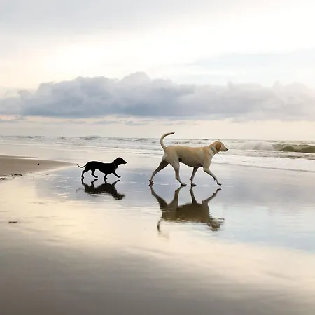Bliss On The Bay בית נופש