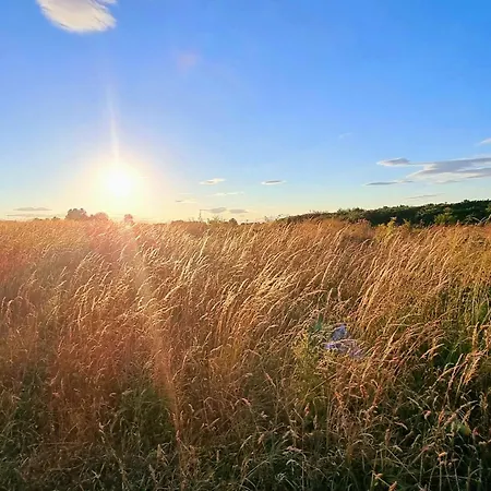 Bliss On The Bay בית נופש פילי